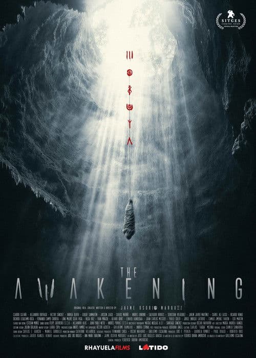 The Awakening poster